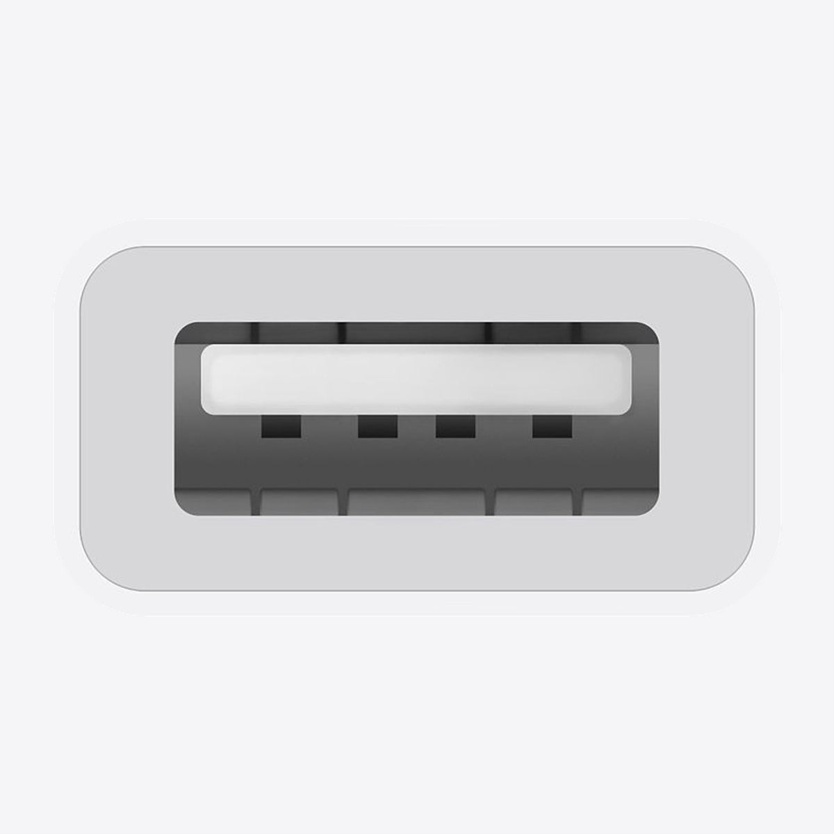 USB-C to USB Adapter – View 3