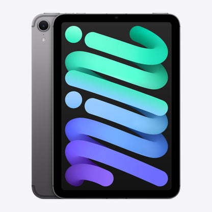 iPad mini