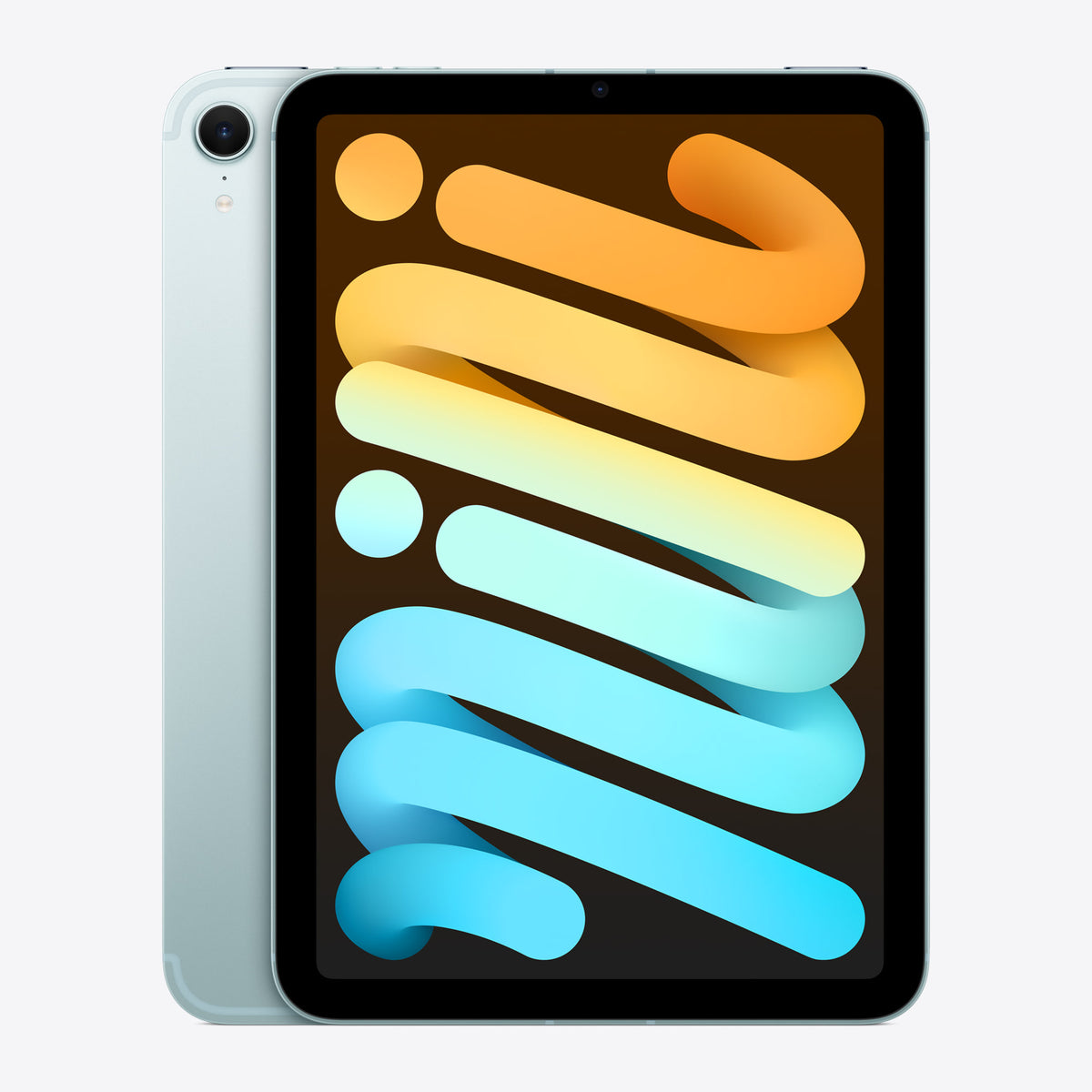 iPad mini Blue
