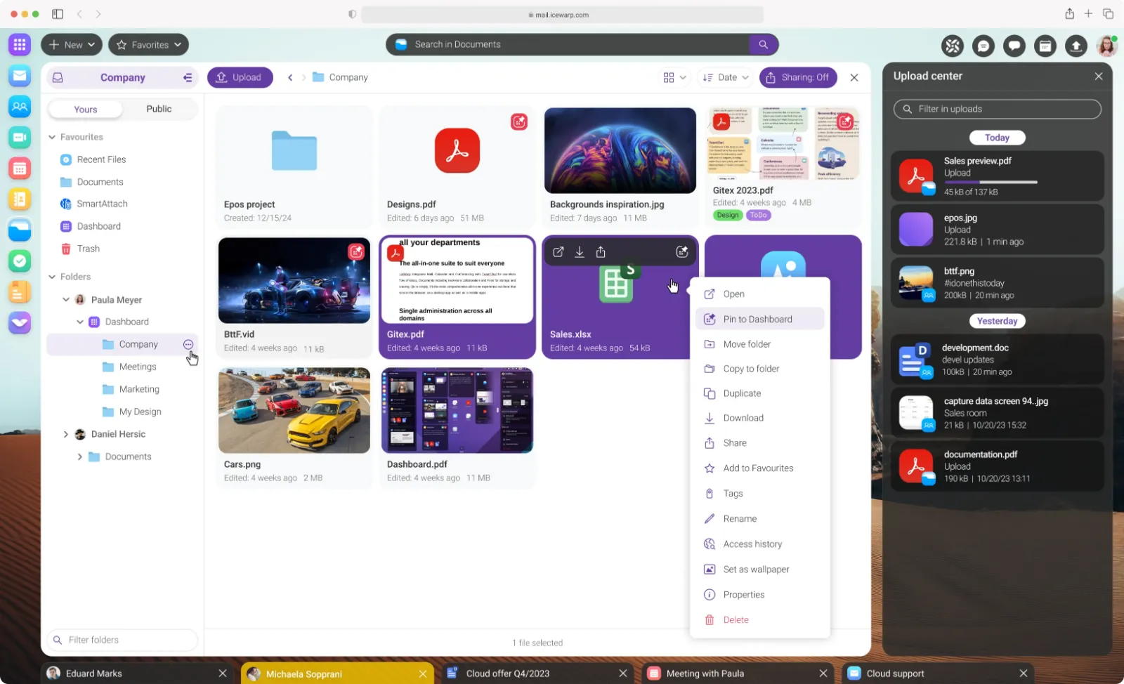 Screenshot of IceWarp in the browser: file storage with folders, documents and an open menu.